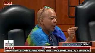 Hima and Andrew Sitto v Rep Cynthia A Johnson