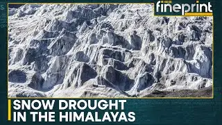 Himalayas Face Historic Snow Drought Crisis | WION Fineprint