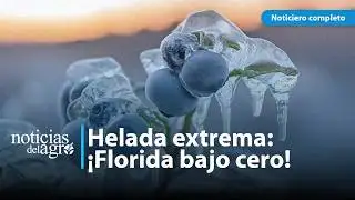 Historic Florida freezes crops | Farmers on alert