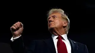 ‘Historic success’: Trump claims growing Hispanic support in new polls