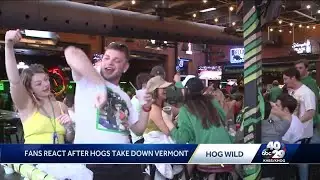 HOG FANS REACT TO RAZORBACK VICTORY