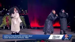 Holiday Lights 2025 recap