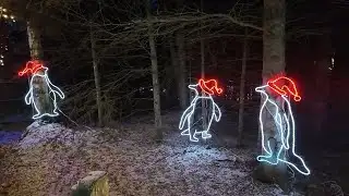 Holiday lights return to Alaska Zoo for festive fun