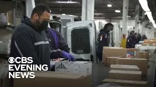 Holiday shipping deadlines begin this week