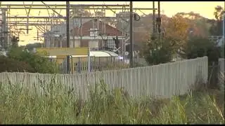 Home Affairs is forging ahead with deporting illegal immigrants