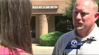 Homeowner shoots, kills bear