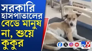 Hooghly News, Viral Video: হাসপাতালের বেডে মানুষের জায়গায় শুয়ে কুকুর, রাজনীতি তুঙ্গে