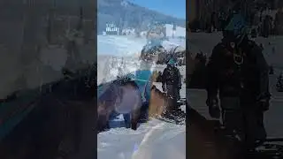 Horse reunited with owners after going missing for 7 months