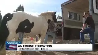 Horsemanship for Heroes helps 100 local Veterans