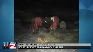 Horses rescued from Oneonta barn fire