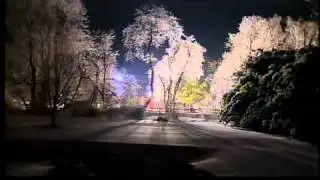 Horses trapped in Bethany barn collapse