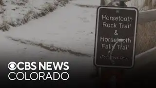 Horsetooth Mountain Open Space reopens after mountain lion encounter