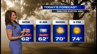Hot Weather Profiling Shiri Spear Boston Fox 25
