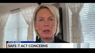 House Minority Leader: SAFE-T Act Has Failed Illinois Families