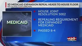 House passes bill to regulate lab-grown meat