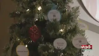 How a giving tree is helping local caregivers