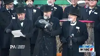 How accurate at predicting the weather groundhogs actually are