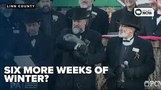 How accurate is Phil