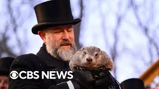 How accurate is Punxsutawney Phil