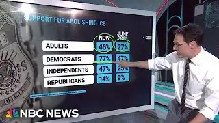 How Americans feel about ICE operations and tactics