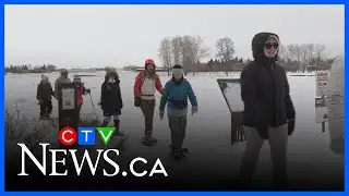 How animals survive Winnipeg’s winter