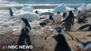 How Antarctica’s melting ice fuels global climate impact