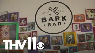 How Arkansas businesses are participating in economic ICE protest