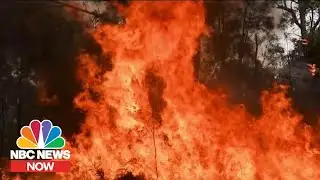 How Climate Change Affects Wildfires | NBC News Now
