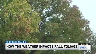 How could recent weather impact fall foliage in Kentucky?