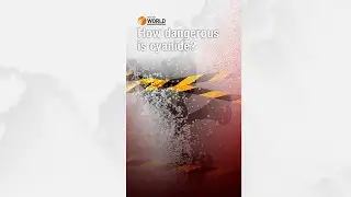 How dangerous is cyanide?