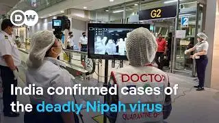 How deadly is the Nipah virus compared to the Coronavirus? | DW News