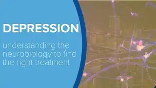 How Depression Affects The Brain - Yale Medicine Explains