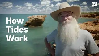 How does the Moon control Earth