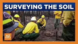 How Dragon Bravo Fire will impact forest recovery near Grand Canyon