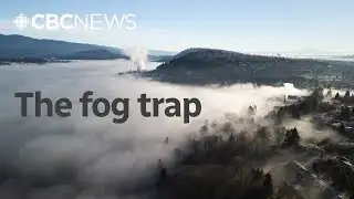 How fog works in 90 seconds | Scienceplained