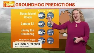 How historically accurate is Punxsutawney Phil on Groundhog Day?