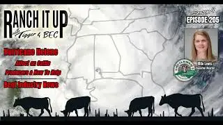 How Hurricane Helene Affected Cattle Producers & How To Help Plus Beef Industry News