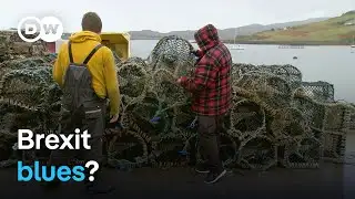 How is Scotland faring after Brexit? | Focus on Europe