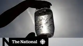 How microplastics may end up in your food, drink, air