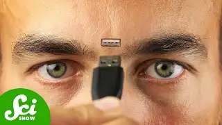 How Much Information Can A Human Head Hold?