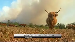 How quickly can a discarded cigarette cause a fire?