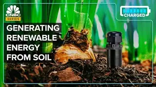 How Soil Could Be An Untapped Source Of Electricity