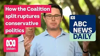How the Coalition split ruptures conservative politics | ABC News Daily podcast