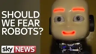 How The Robot Revolution Could Change The World