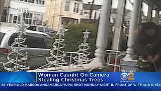How this woman got free Christmas trees