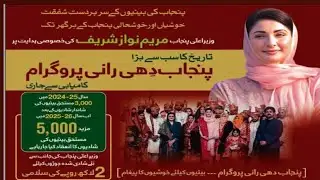 How to apply in Punjab dhi rani program 2026 // Pak jobs update 