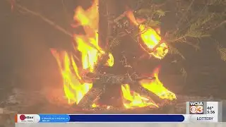 How to avoid post-holiday Christmas tree fires: IL Fire Service Institute