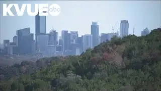How to battle cedar fever after massive spike hits Central Texas
