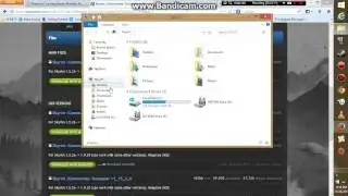 How To Download and Install Ely