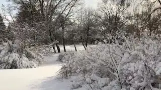 How to keep your pets safe in dangerously cold weather